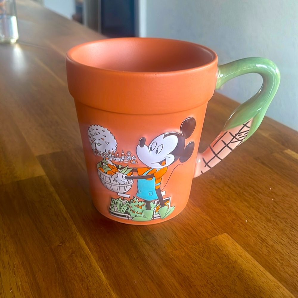 Disney World Cup